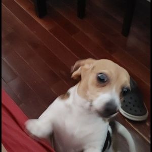 Meet your Posher, Najet